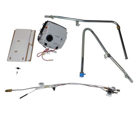 BradfordWhiteParts.com: Bradford White 415-53361-03 2 inch Icon NG