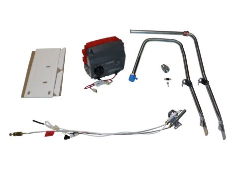 BradfordWhiteParts.com: Bradford White 415-53361-06 2 inch Icon LP