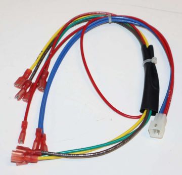 Bradford White 239-44561-01 Harness