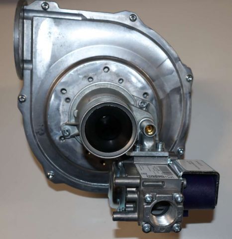 BradfordWhiteParts.com: Bradford White 243-46010-01 EF